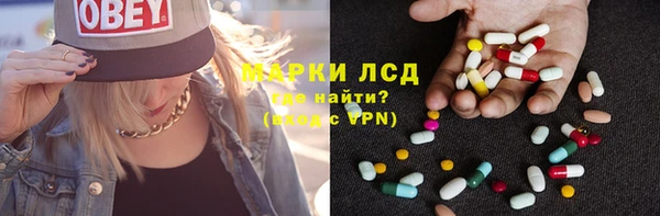 крисы Баксан