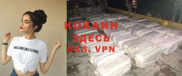 крисы Баксан