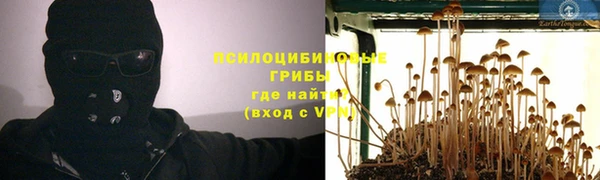 крисы Баксан