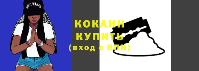 винт Сосновка