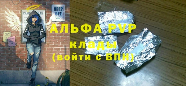 крисы Баксан