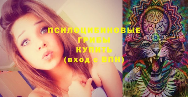крисы Баксан