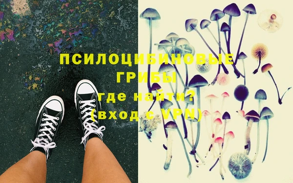 крисы Баксан