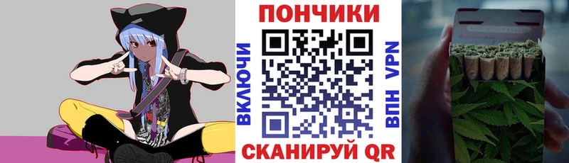 цена наркотик  Боровичи  Канабис сатива 